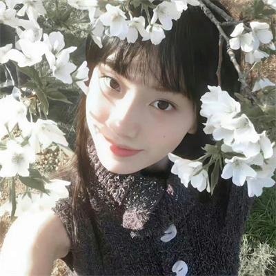 在世界边缘遇见熊
